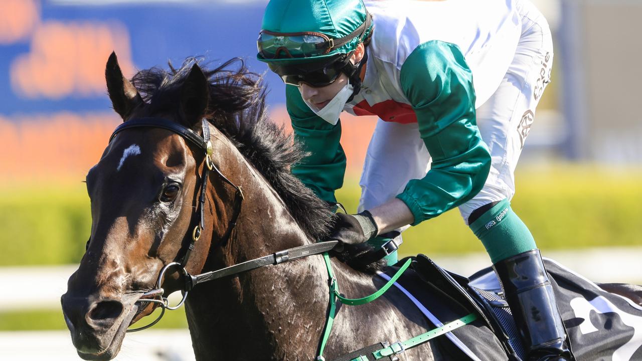 Trainer Richard Litt has been pleased with the progress of rising star Profondo. Picture: Getty Images