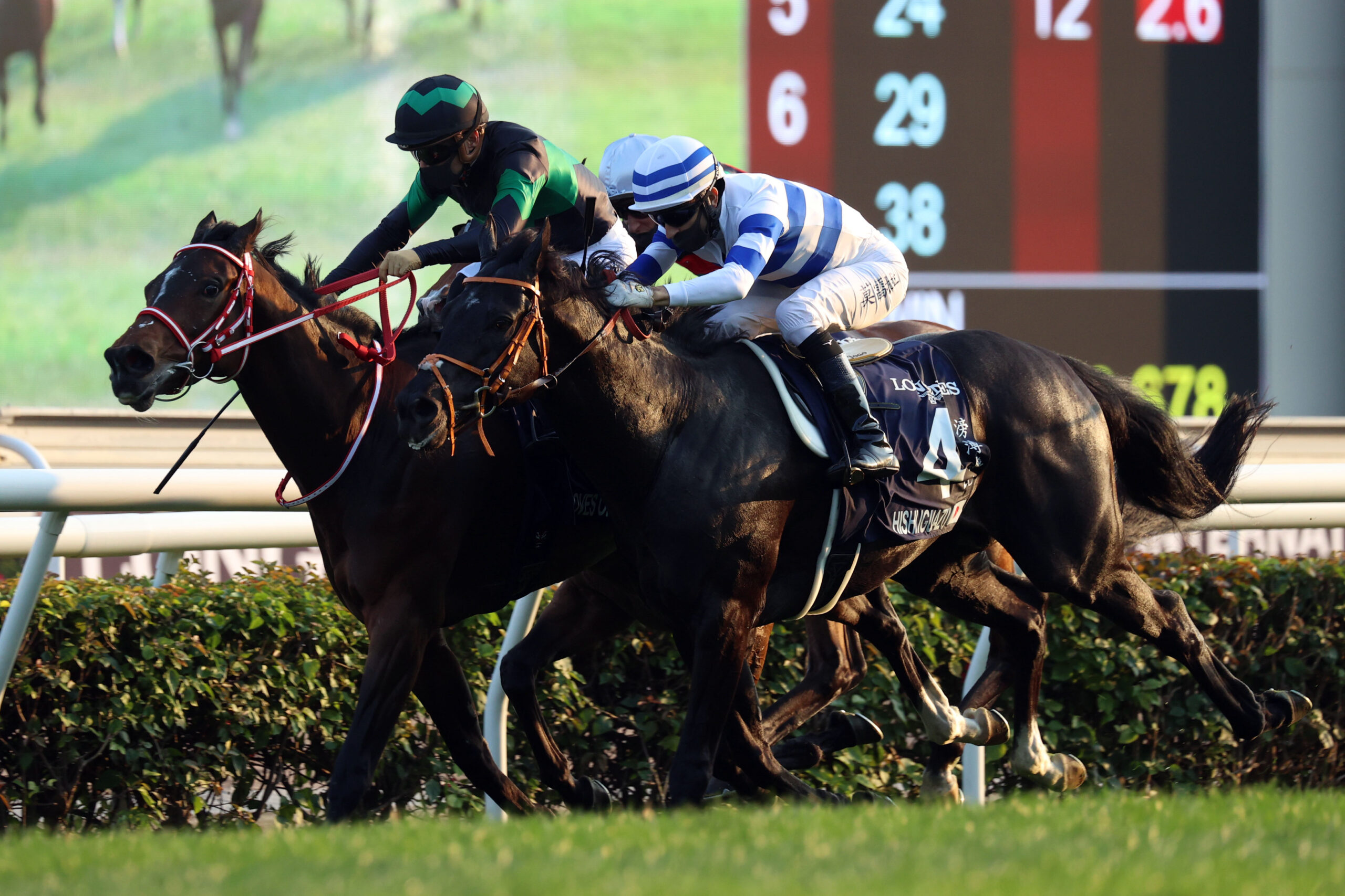 Loves Only You bids farewell with dazzling Hong Kong Cup success - Vimarsana News
