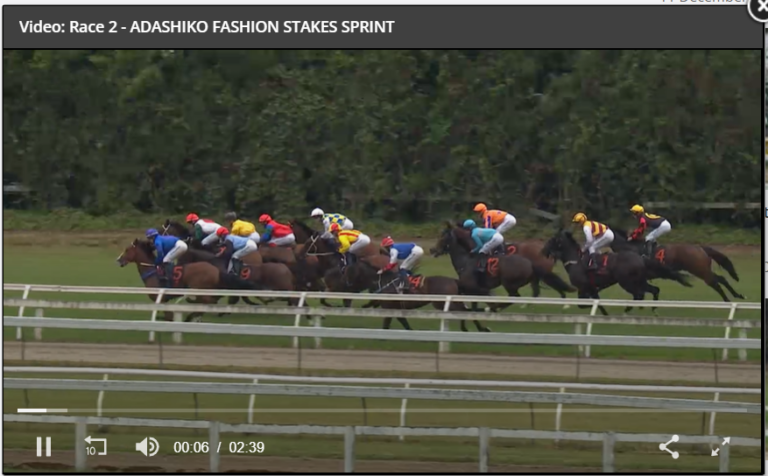 Watch Horse Racing Replays [NSW, QLD + more] - Racenet