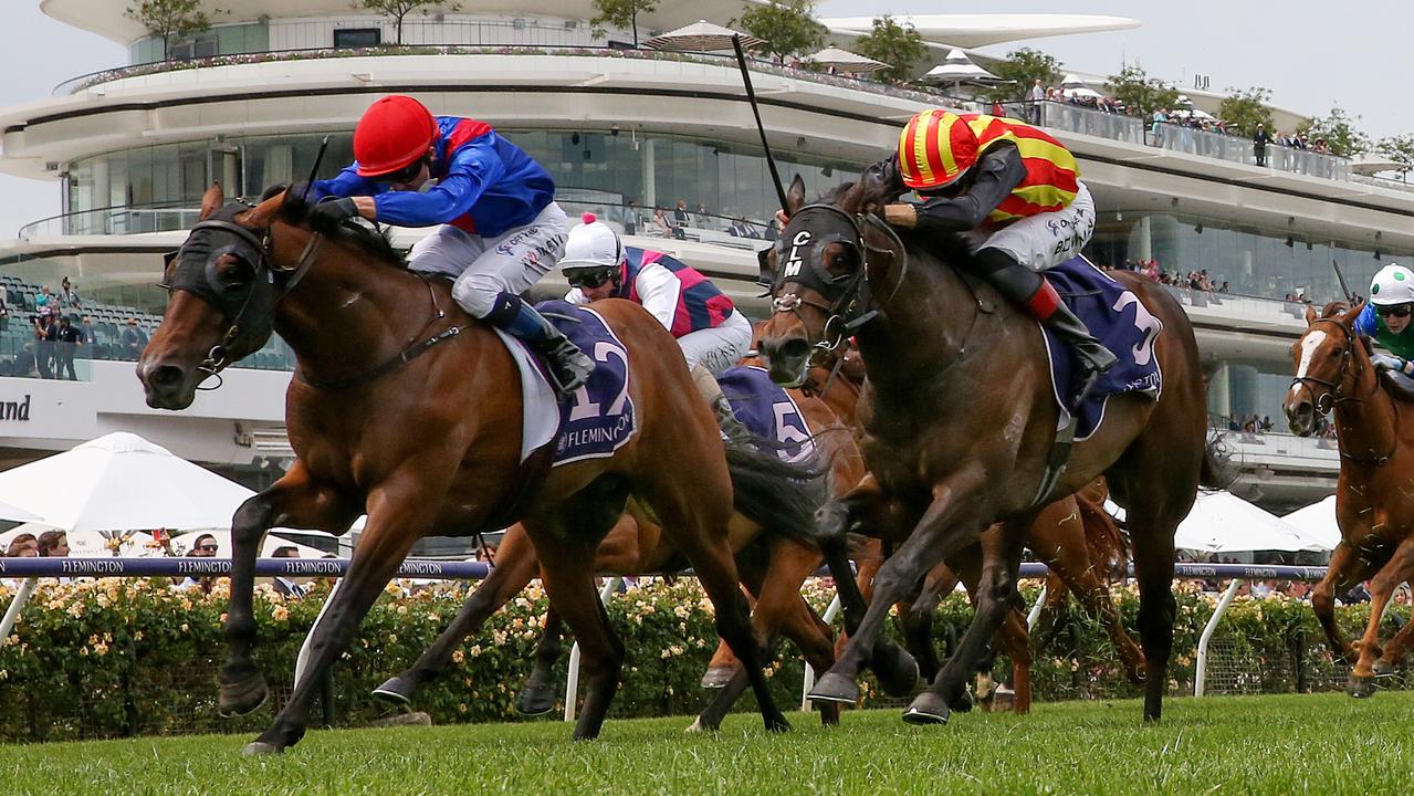Guineas duo could prove Lethal pairing for O'Shea - Vimarsana News
