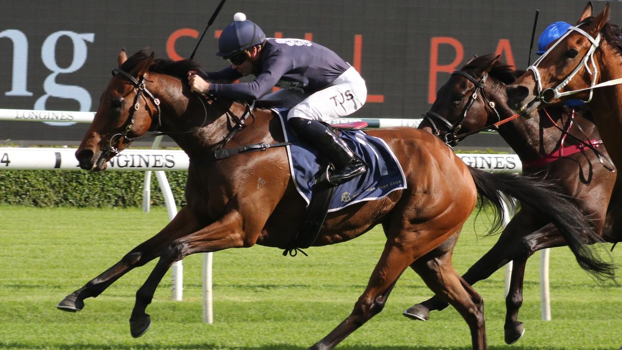 Former Kiwi Lightning Jack is out to make it two in a row in Australia in the Summer Cup. Picture: Grant Guy