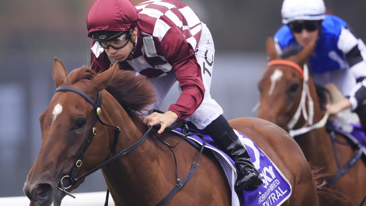 Clark ready to go the distance to win Guineas - Vimarsana News