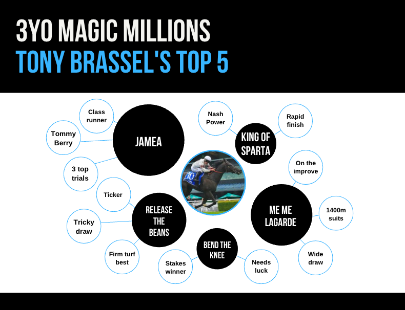 Tony Brassel Dissects Saturday's Magic Millions 3YO Guineas - Vimarsana News