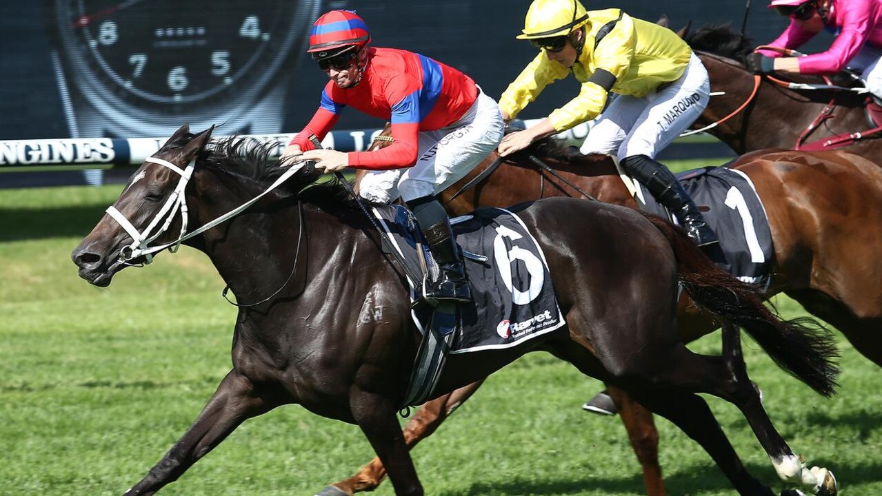 Melbourne Cup winner Verry Elleegant to step out at Warwick Farm trials