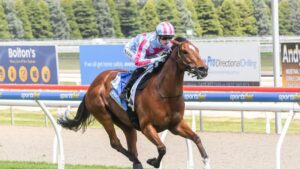 Outstanding mare Marabi: Racing Photos via Getty Images.