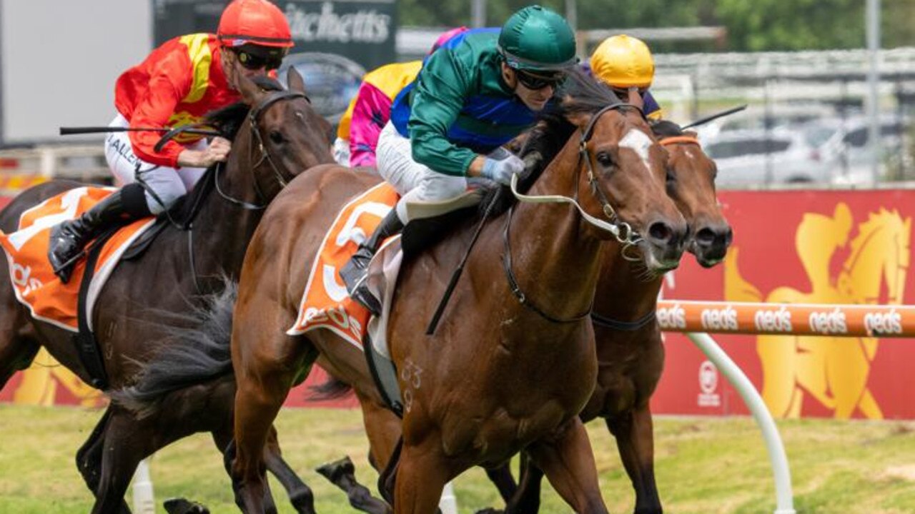 Jacquinot Baying For Blue Diamond Prelude Win Racenet