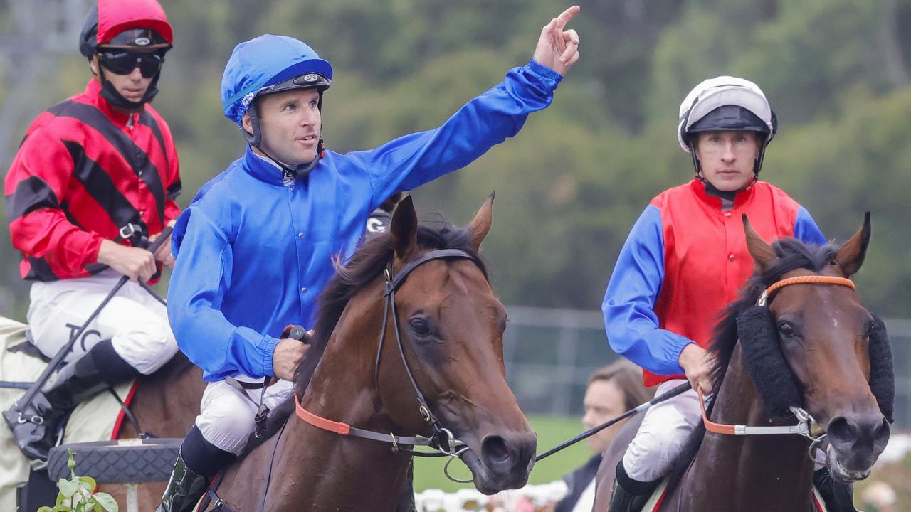Anamoe on track for Guineas after Hobartville heart-stopper - Vimarsana News