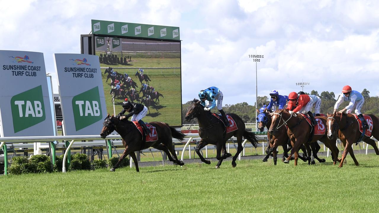 Sunshine Coast preview and tips