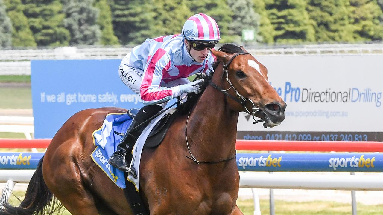 Must-watch racing: 5 things you can't miss this weekend - Vimarsana News