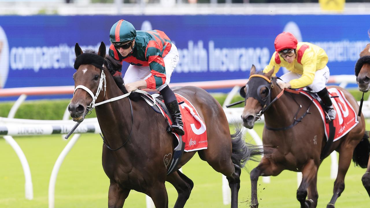 Hong Kong likely for Straight Arron - Vimarsana News