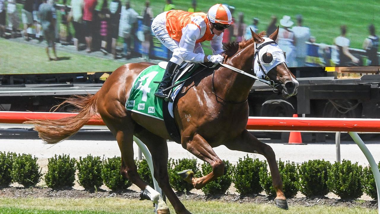 'Welcome to racing': QLD Guineas favourite scratched - Vimarsana News