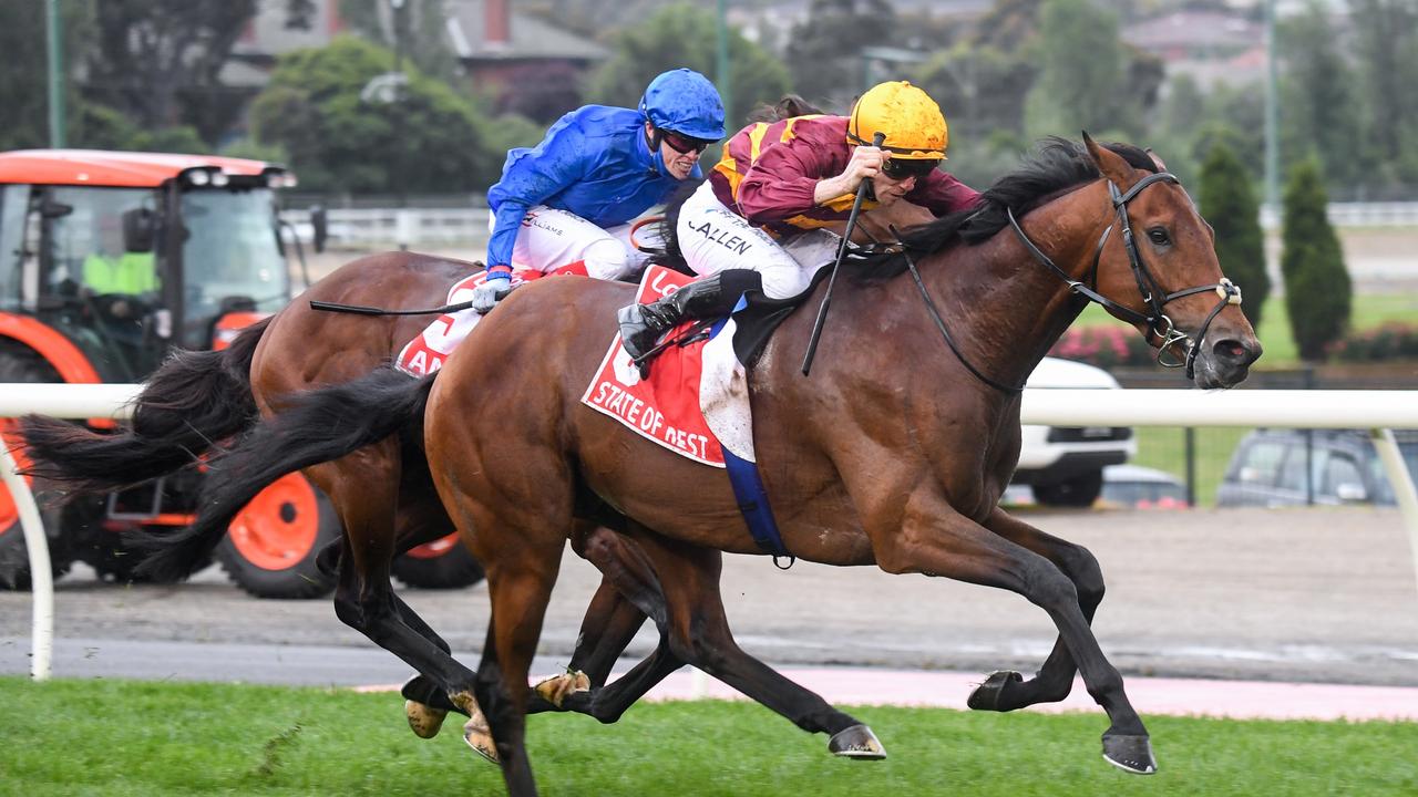 Newgate boss has big spring ambitions for State Of Rest, Artorius - Vimarsana News