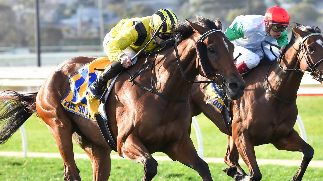 Warrnambool Cup victory caps Star's 