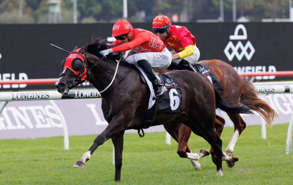 Doomben 10000 2023 Tips, Odds, Field & Results Doomben 10000 2023 Tips, Odds, Field & Results