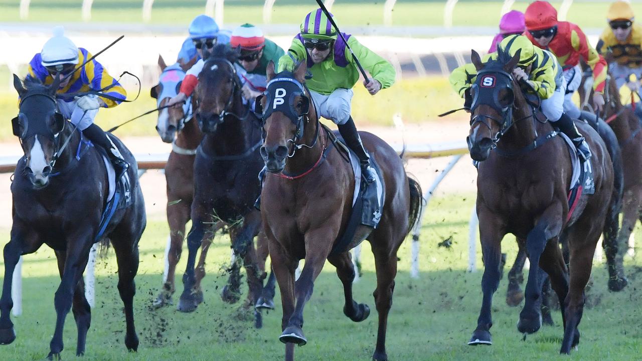 Greg Polson's Tamworth Tips Putting our faith in Kody Nestor