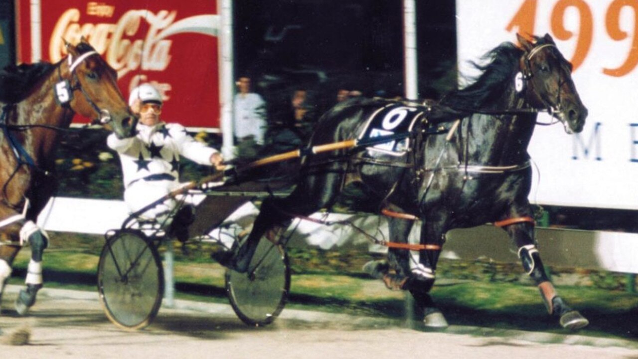 Champion pacer Westburn Grant Picture: Paul Courts/Club Menangle