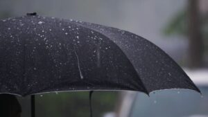 Rain continues to fall along the east coast of Australia.