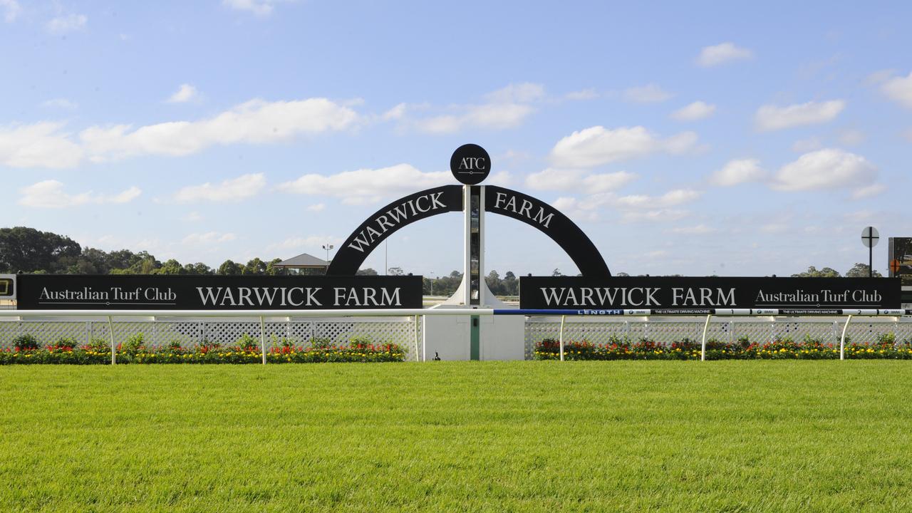 71 ridiculous overs about horse at Warwick Farm Wednesday