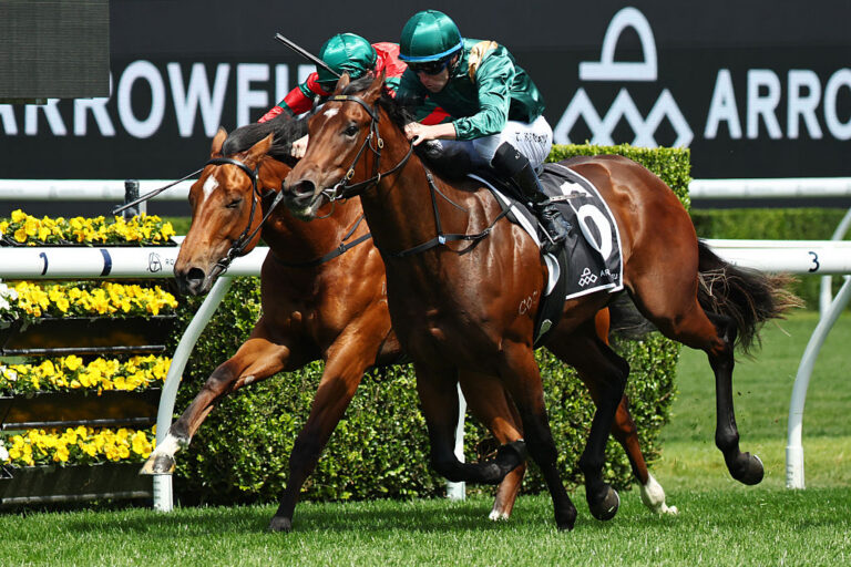 Breeders Plate 2025 Tips, Betting Results Racenet