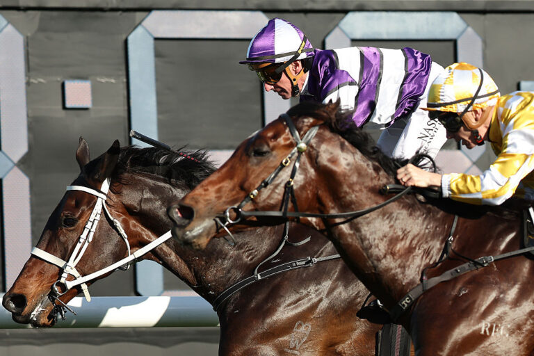 Chelmsford Stakes 2025 Tips Betting Racenet