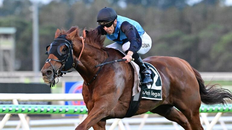 Caloundra Cup 2025 Tips, Betting Results Racenet