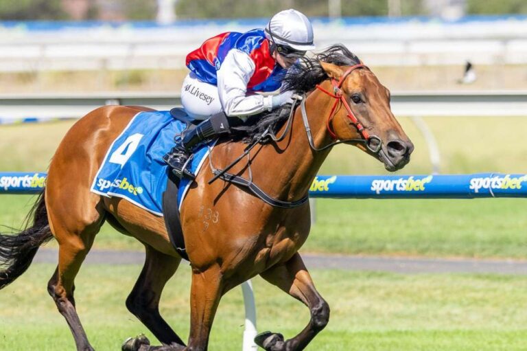 Premier's Plate 2025 Tips, Betting Results Racenet