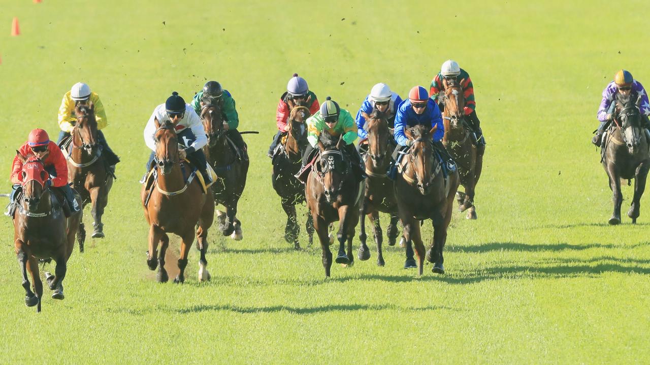 Ultimate barrier trial report Rosehill, June 7, 2022