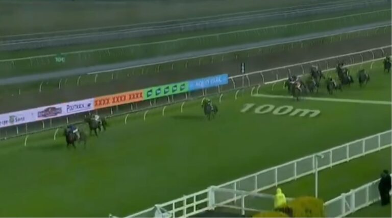 Race Replays Sport Replays Free Online Rival Stars Horse Racing