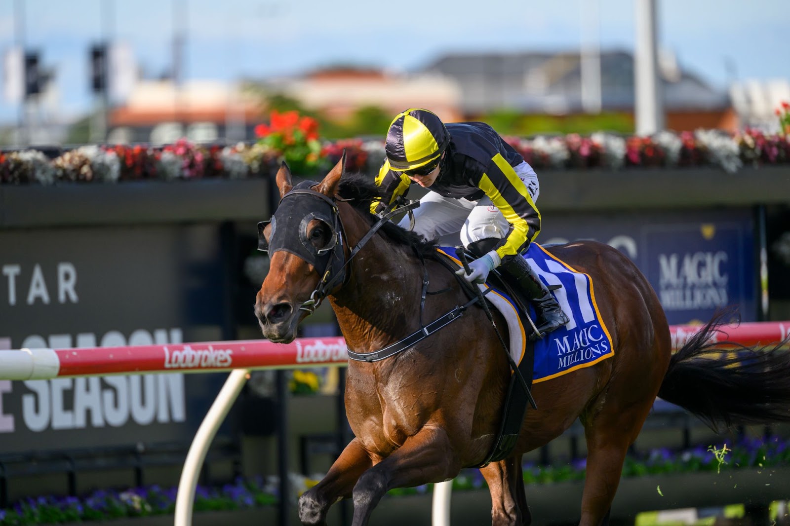 Saturday’s Racing Tips and Expert Betting Strategies