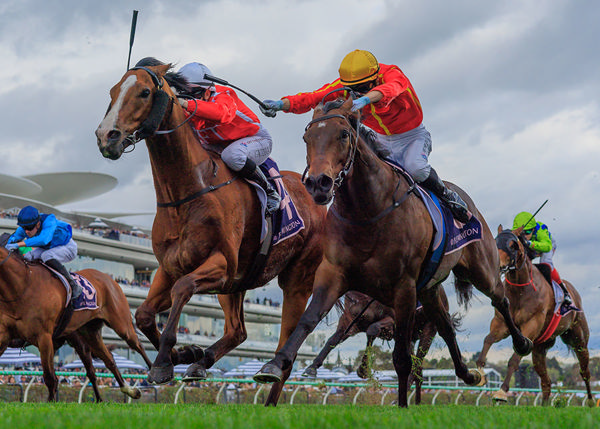 Tontonan (Sofitel) Stakes 2025 Tips Betting Racenet