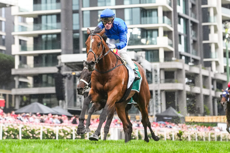 Moonee Valley Vase 2025 Tips Betting Racenet