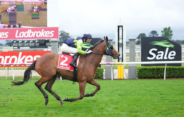 Sale Cup 2025 Tips, Betting Results Racenet