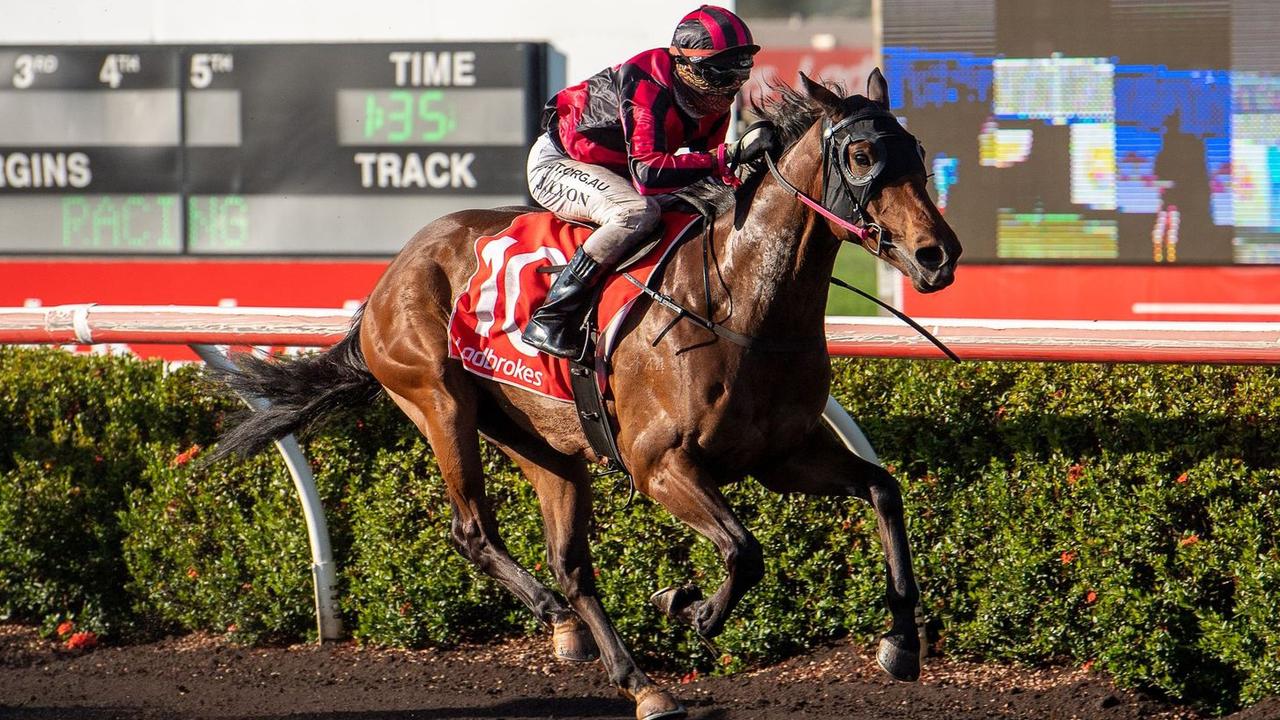 Tom Rush's tips for Darwin Guineas day - Vimarsana News