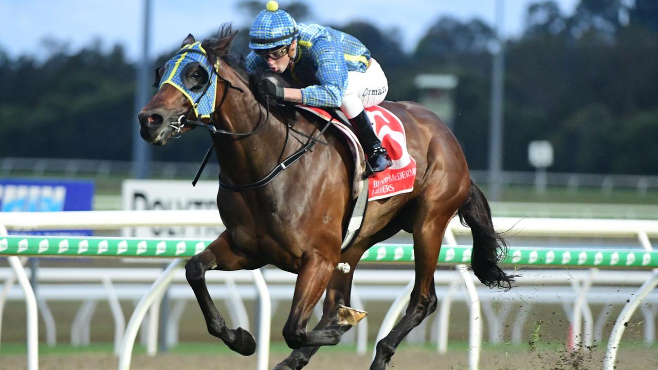 He's no Winx but still a Majestic Guineas win - Vimarsana News