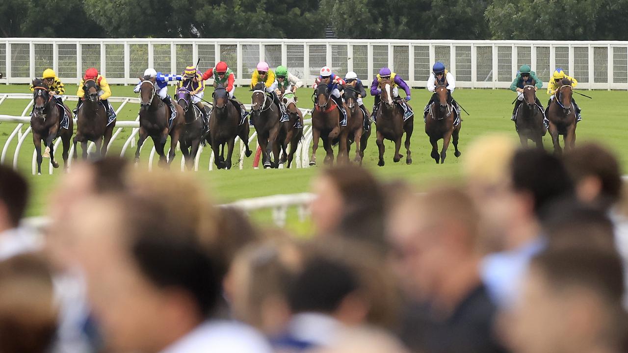 Australian horse racing fields, track and weather information for Saturday