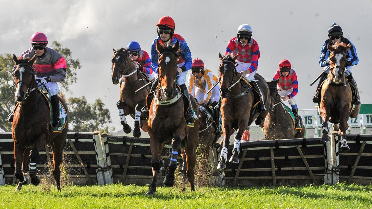 Jumps racing in Victoria thriving as South Australia moves to ...