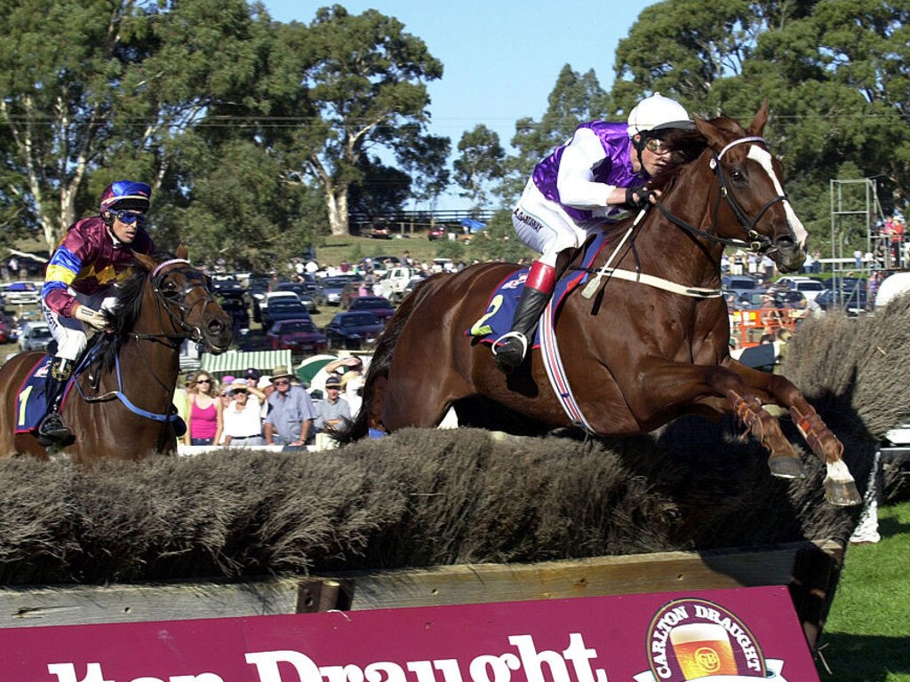 Stop the fearmongering The truth about SA jumps racing ban