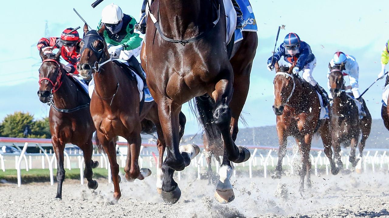 Ballarat synthetic track ruled safe amid criticism
