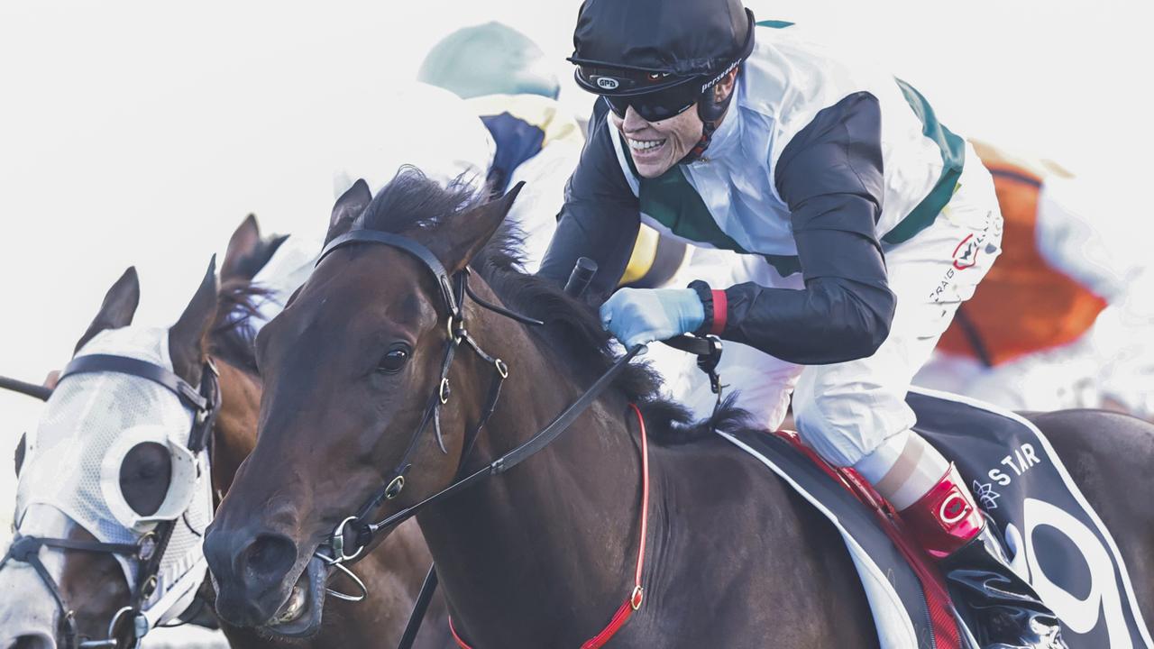 Ben and JD Hayes give their exclusive insight into the Lindsay Park ...