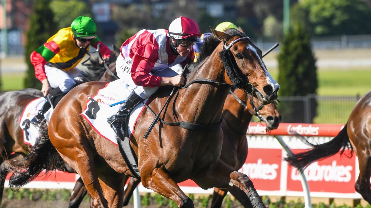 Danny O'Brien and owner Bob Peters' spring carnival plans for their ...