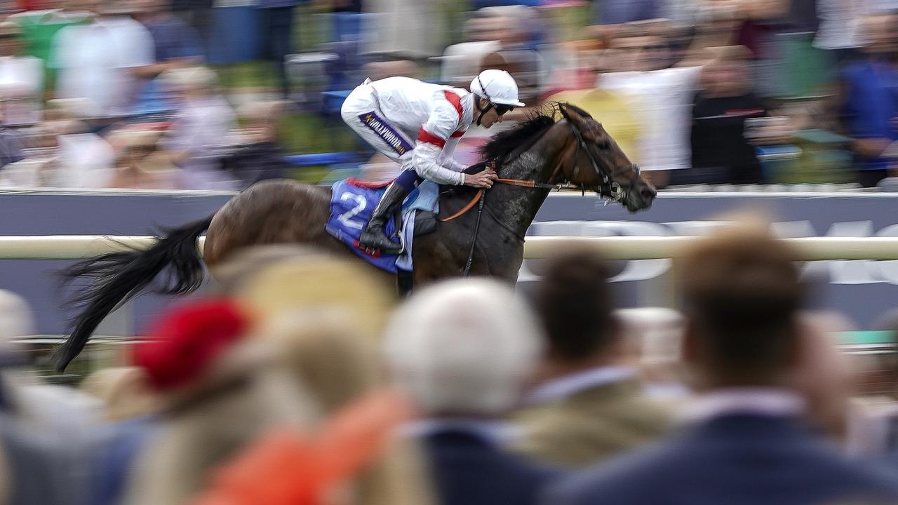 Beautiful 'heightened Risk Of Injury': Melbourne Cup Favourite Scratched Artwork Concept Beautiful 'heightened Risk Of Injury': Melbourne Cup Favourite Scratched Artwork Concept