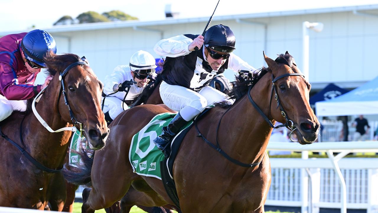 Garibaldi takes out Goldmarket with barnstorming finish