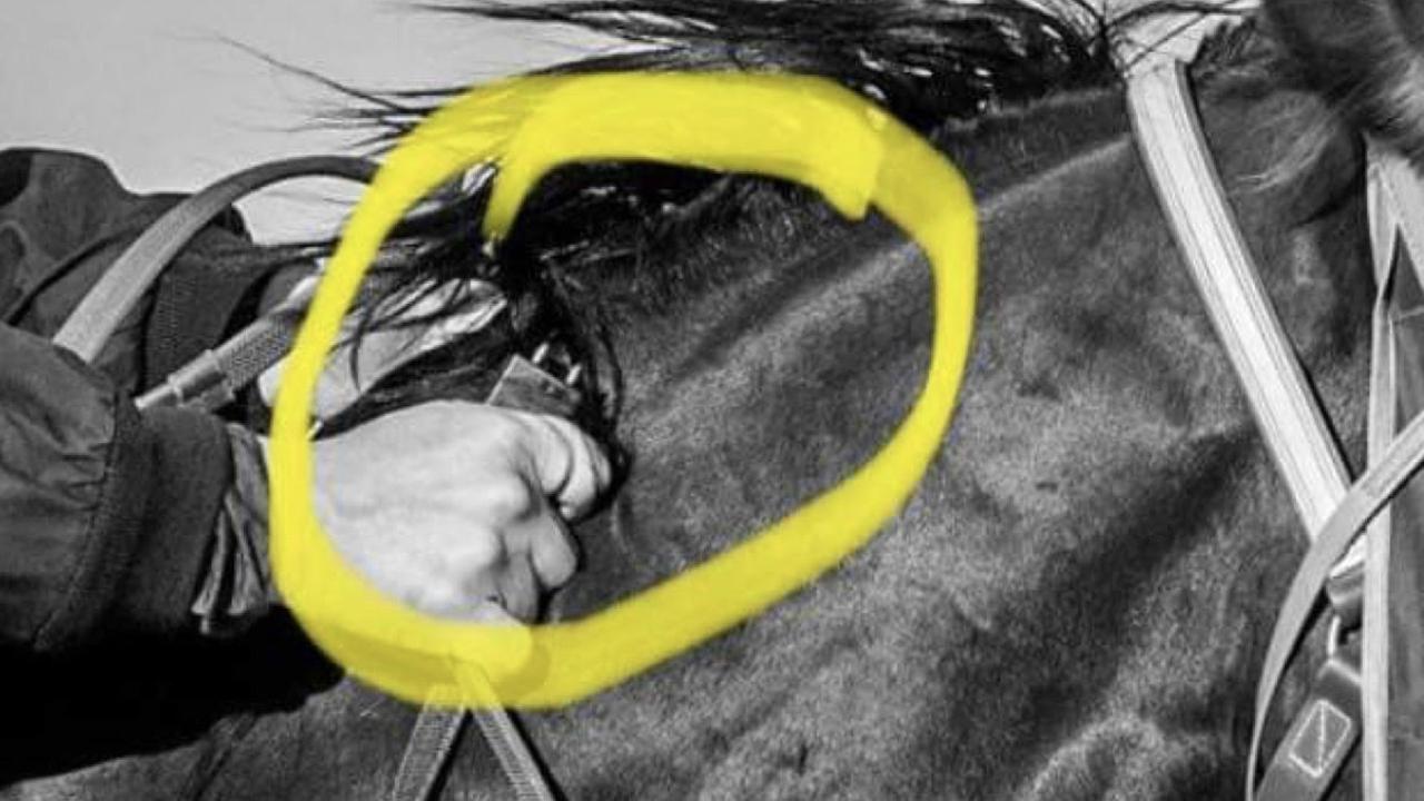 BANNED McMahon and Austin suspended over Birdsville jigger probe