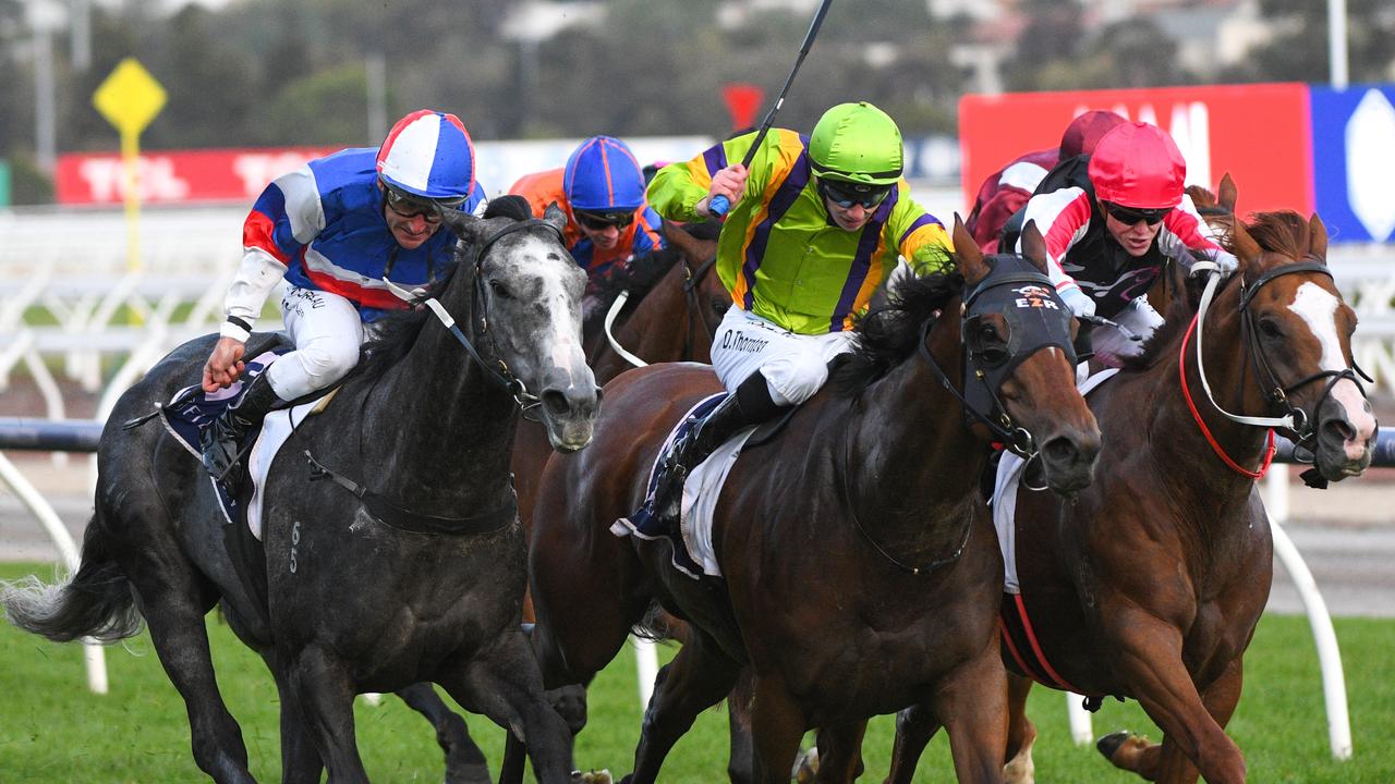 2.20 good thing Pro Punter The Trackwalker's tips, analysis for