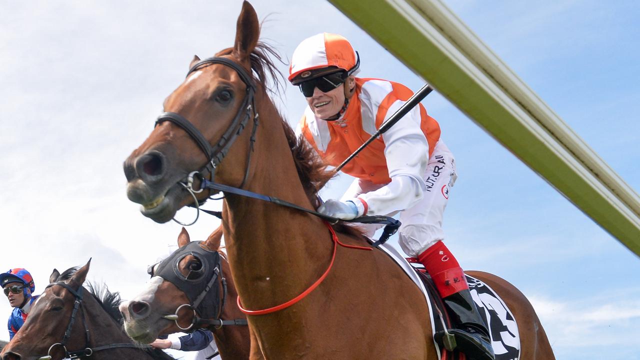 Vow And Declare Melbourne Cup. Picture: Racing Photos-Racing Photos via Getty Images