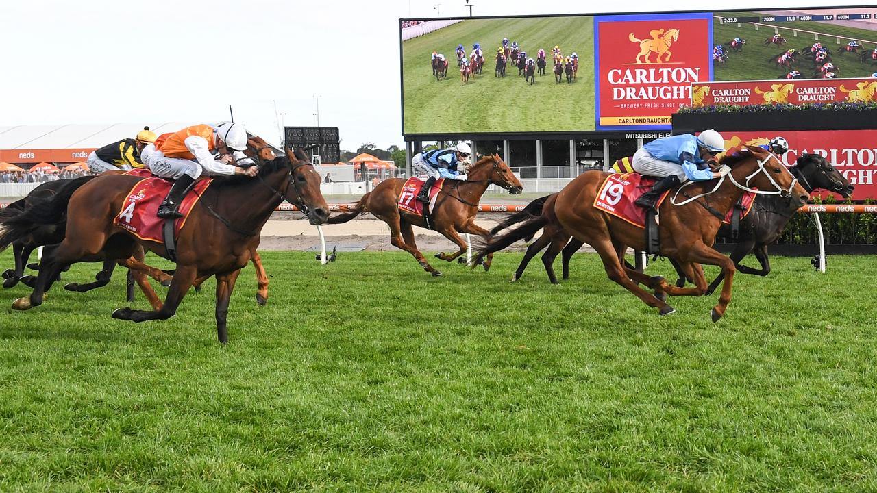 Horses to follow out of Caulfield Cup day