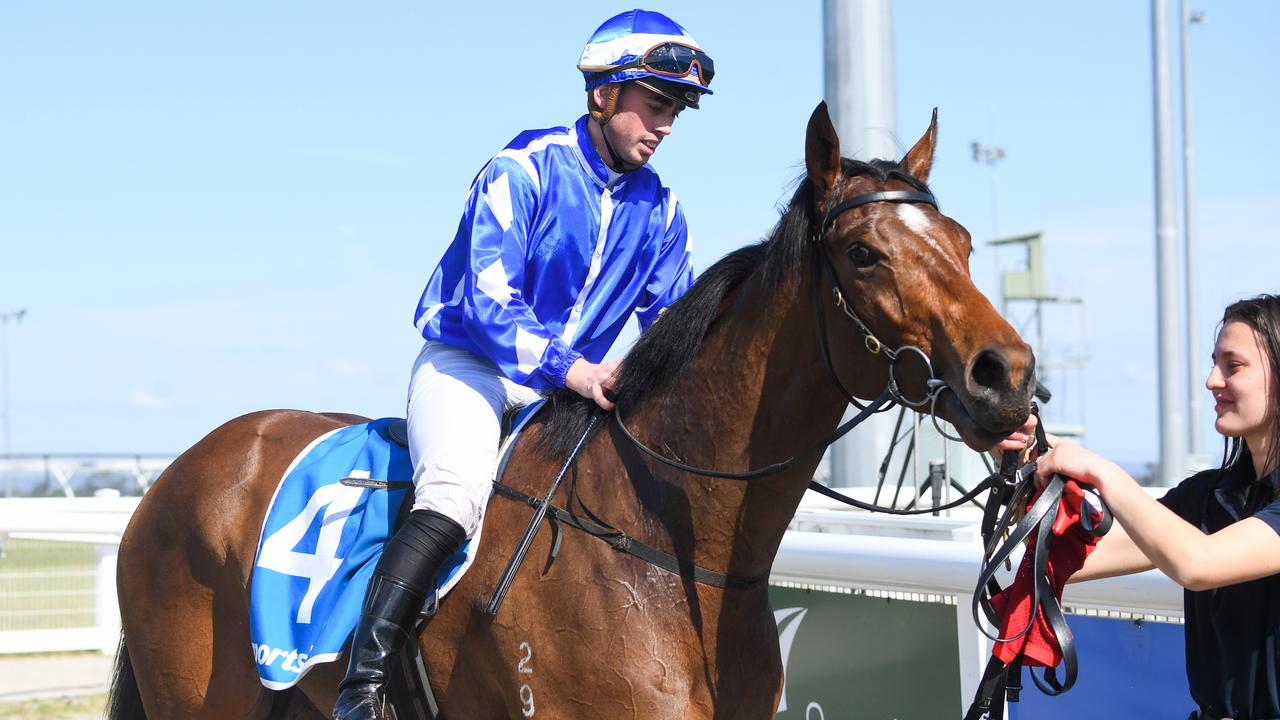Wednesday market movers Geelong Classic runner backed from 11 into 5