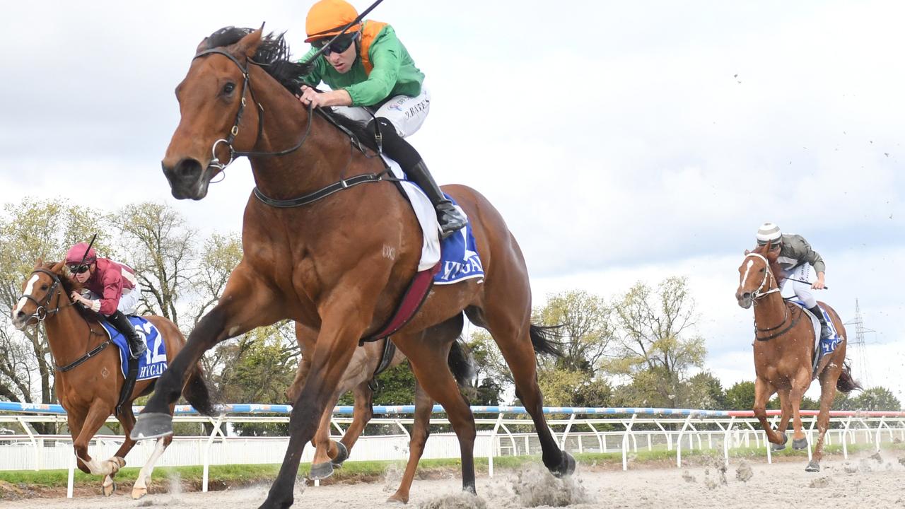 Ballarat Synthetic tips Sermon to salute again