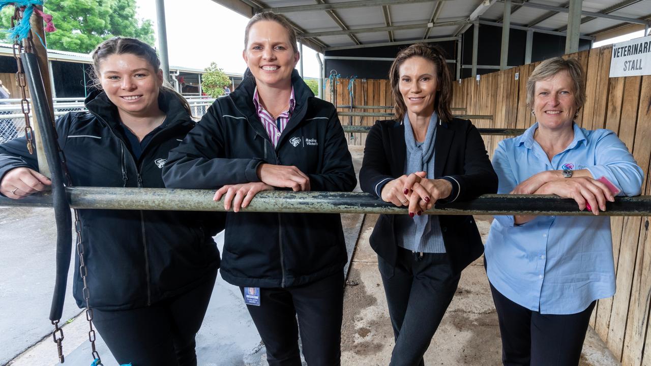 Melbourne Cup scanning protocols: Racing Victoria veterinary services ...