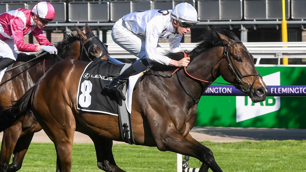 Mesmerizing 'heightened Risk Of Injury': Melbourne Cup Favourite Scratched Design Collection Mesmerizing 'heightened Risk Of Injury': Melbourne Cup Favourite Scratched Design Collection